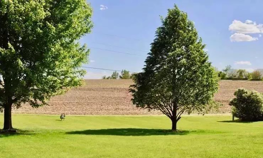 植樹節|守護綠色家園的秘密武器!