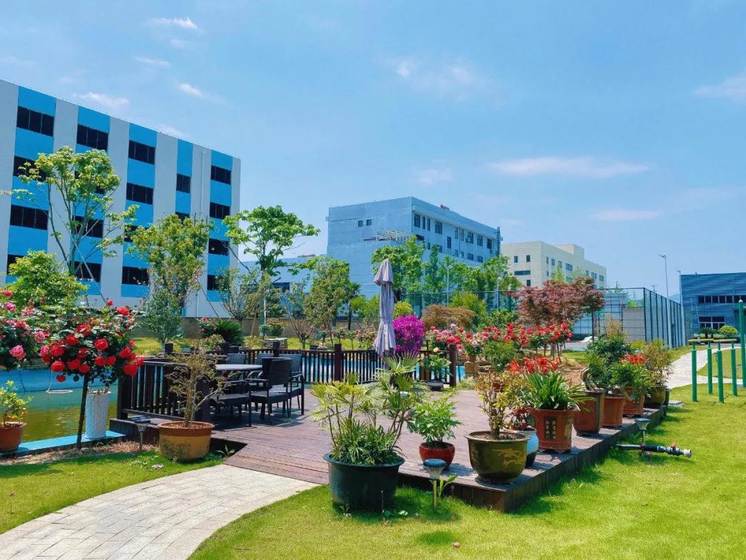 風景這邊獨好!東大環境美景一覽,請查收